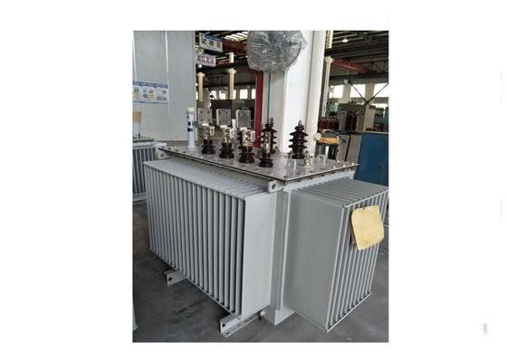 12kV 800KVA Outdoor Three Phase Oil Immersed Electric Power Transformer